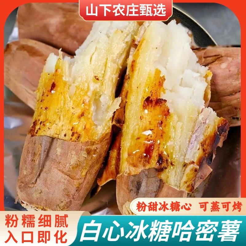 哈密冰糖白心蜜薯补充营养饱腹充饥口感软软香甜番薯烤红薯蜜薯