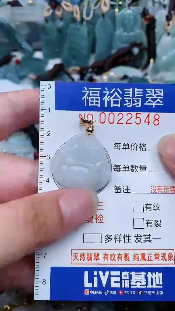 【闪购商品】翡翠颈饰未镶嵌...0022548