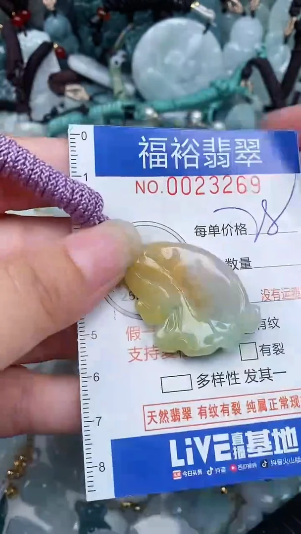 【闪购商品】翡翠颈饰未镶嵌...0023269