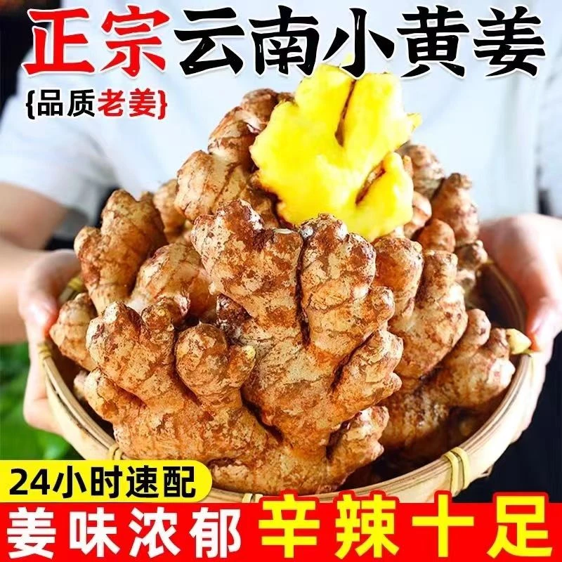 【云南小黄姜】Z鲜姜 云南 姜片 姜汁 生姜 泡姜 姜片 1/3/5/9斤