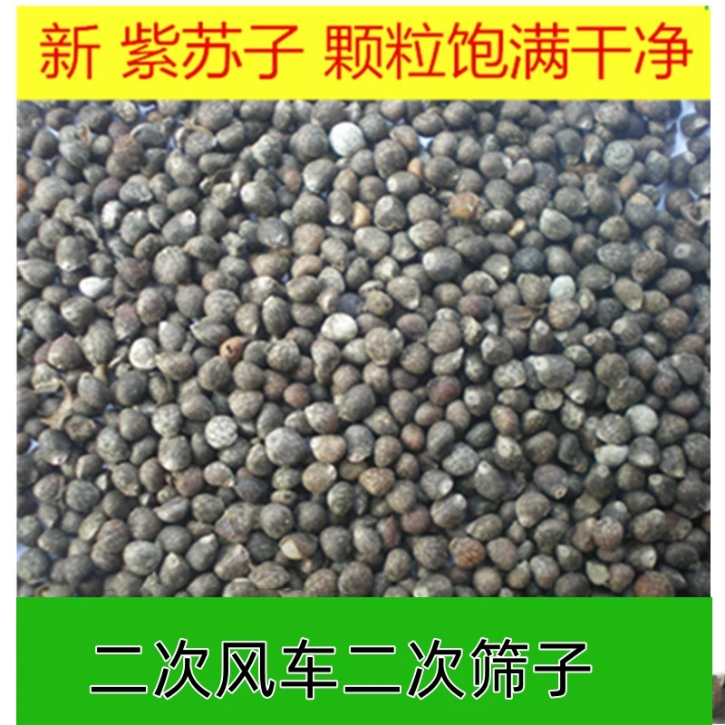 鸟食鸟粮紫苏子白苏子黑尖玉鸟金青芙蓉鸟大金黄灰燕丝雀文鸟鹦鹉