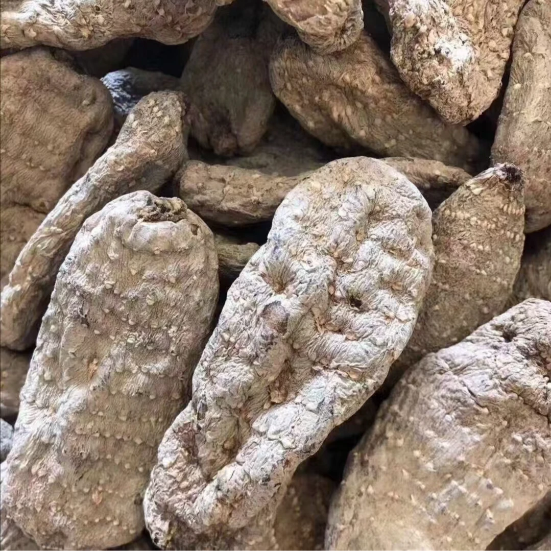 【彩】乌天麻 高原农家山货