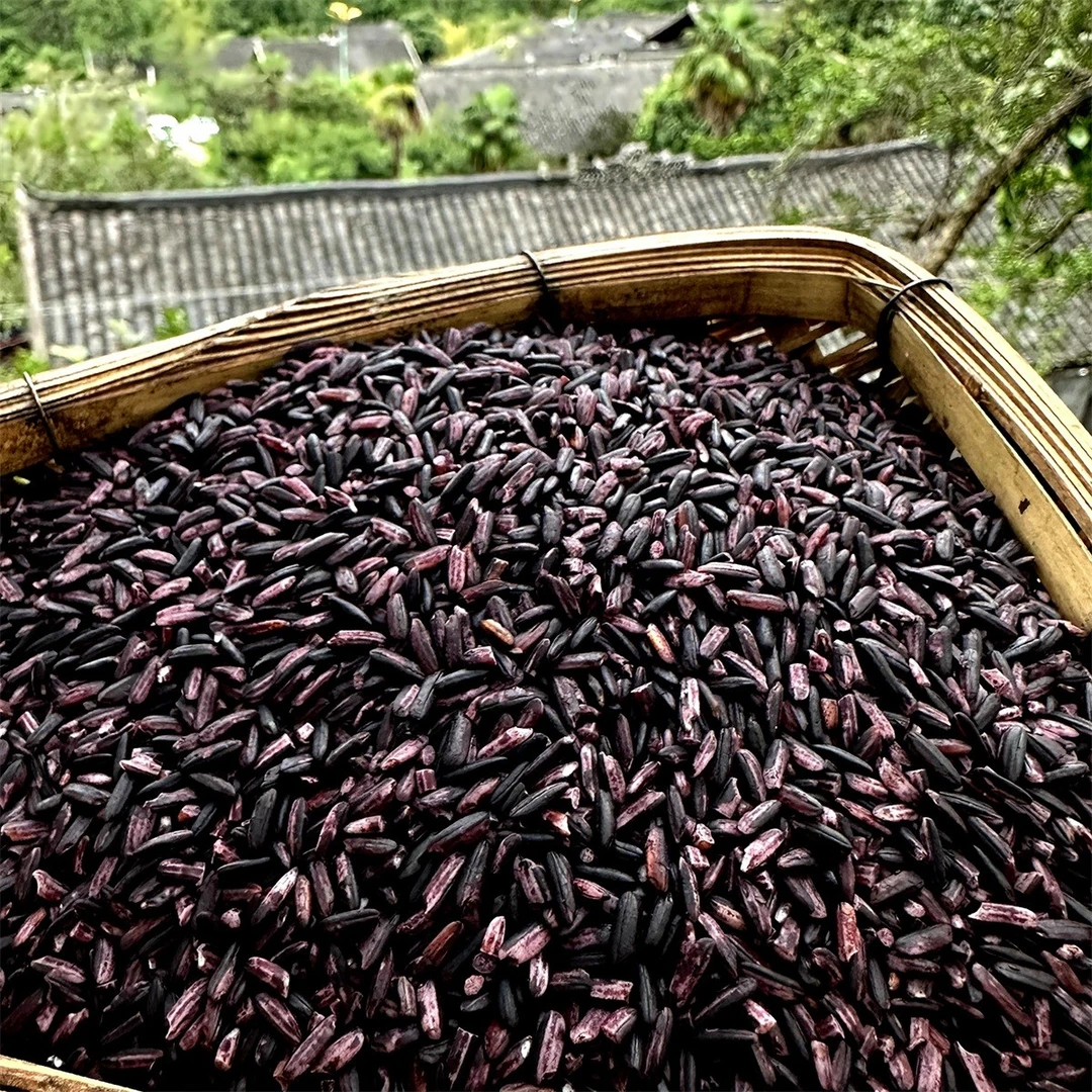 【彩】紫糯米 高原农家山货