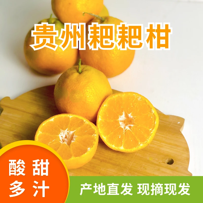 贵州高原自种新鲜令季水果耙耙柑现摘现发丑橘子5斤中大果包邮