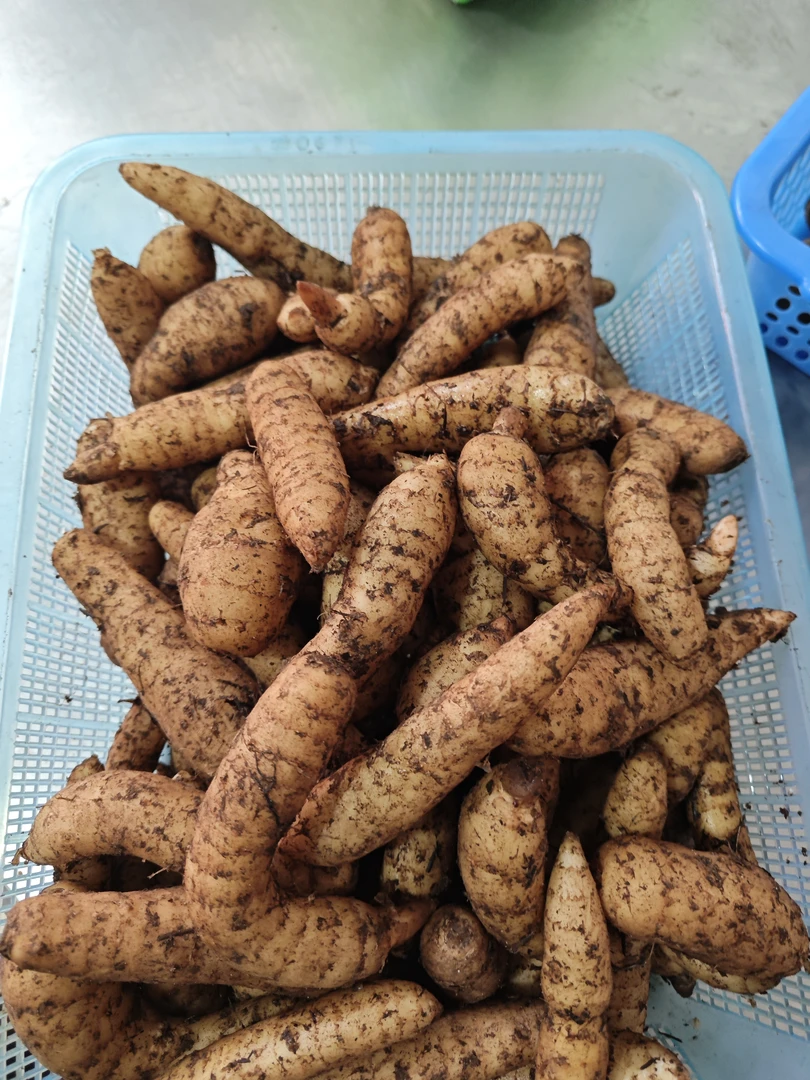 新鲜野麻,土豆新鲜500~1000g