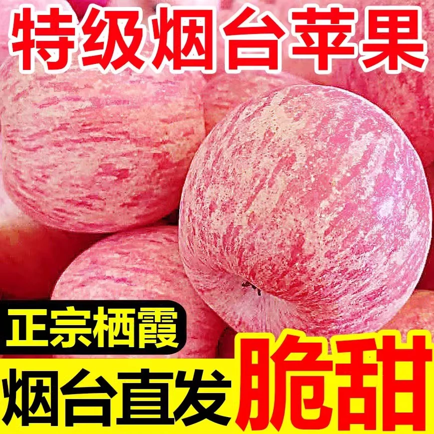 [细腻无渣] 山东烟台红富士苹果脆甜多汁 5斤装