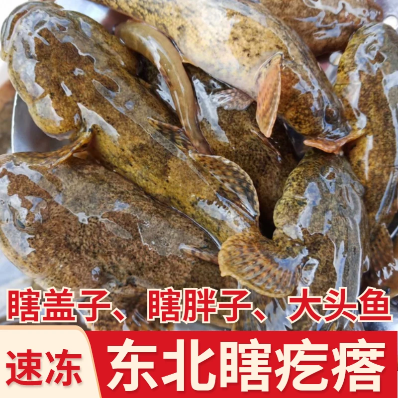 【瞎嘎达】东北河鱼速冻瞎疙瘩瞎盖子瞎胖子500g冷冻保鲜发货配送