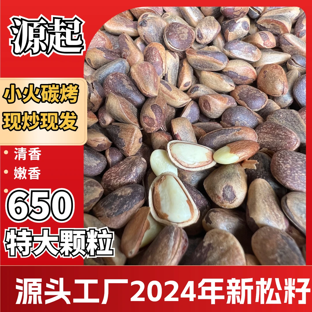 2024年碳烤松子650特特大颗粒