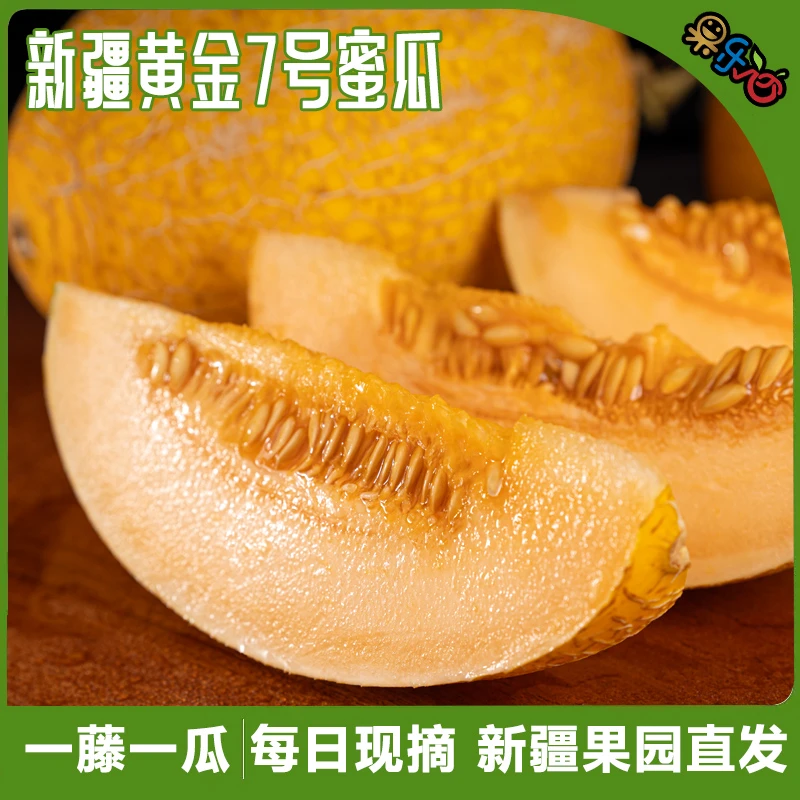 新疆喀什直发高原黄金蜜瓜脆甜多汁现摘现发新鲜水果哈密瓜