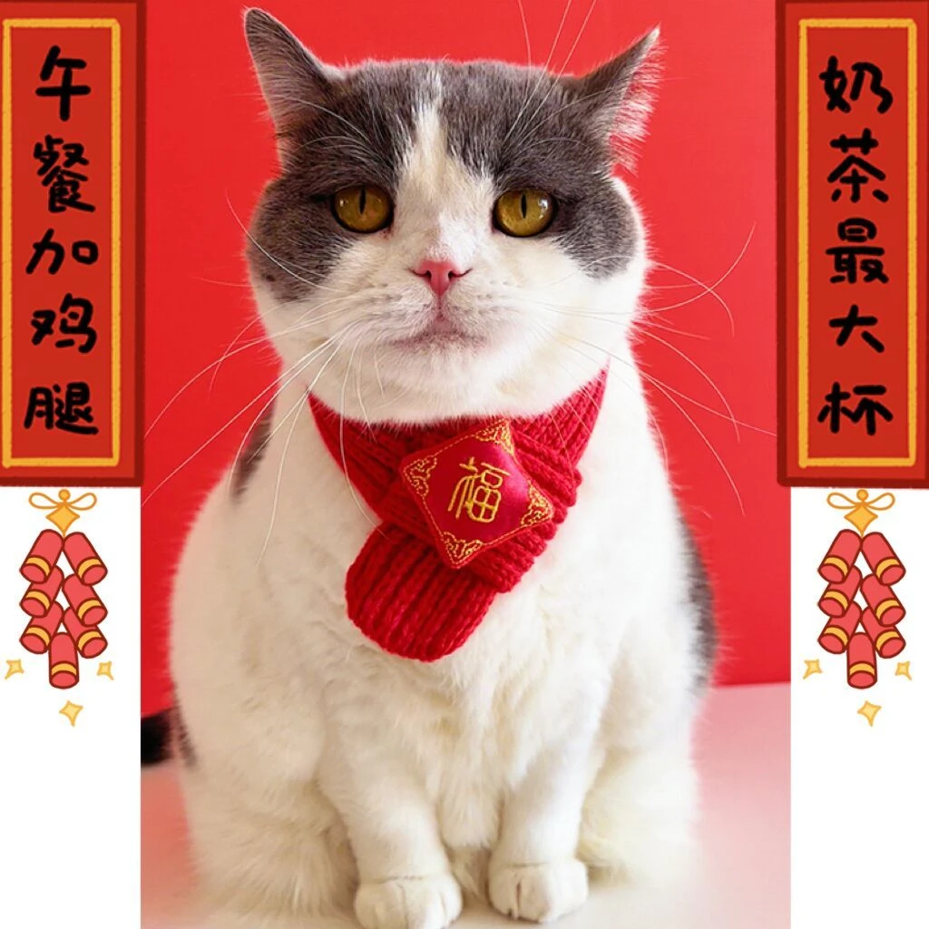 2024新年春节宠物装扮可爱喜庆围脖红色保暖毛线针织狗狗新年饰品
