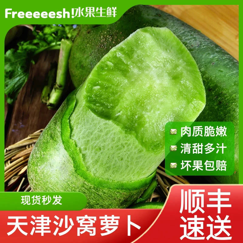 正宗天津沙窝萝卜9斤北京顺丰次日达水果萝卜甜脆水果型青萝卜新鲜蔬菜