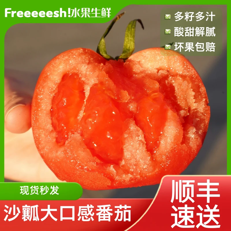 沙瓤大口感番茄西红柿4斤北京顺丰次日达沙甜1号番茄自然成熟生吃新鲜水果沙瓤汁水足口感好多籽多汁酸甜解腻