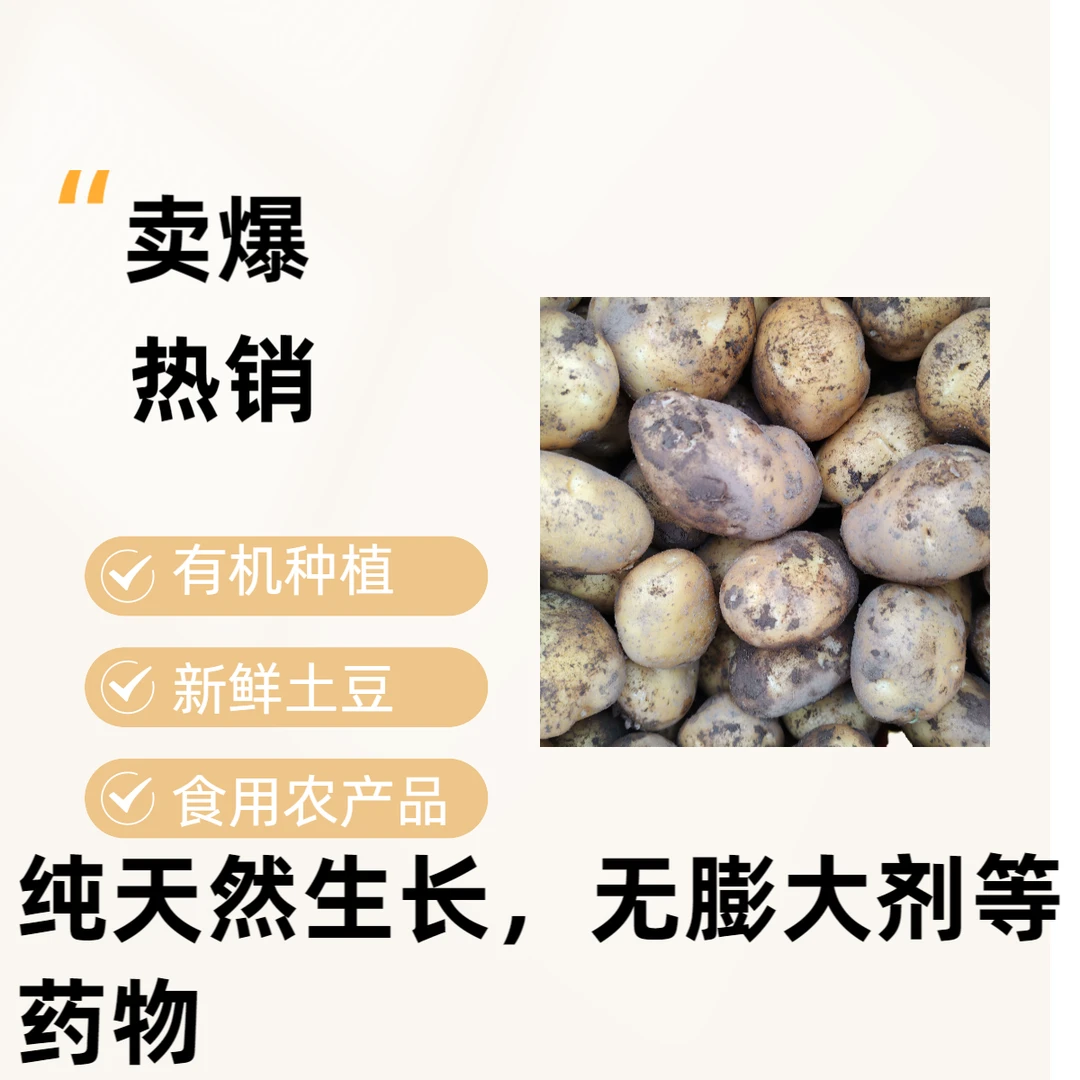 贵州黄皮洋芋新鲜黄心土豆高原马铃薯好吃有机种植食用小吃