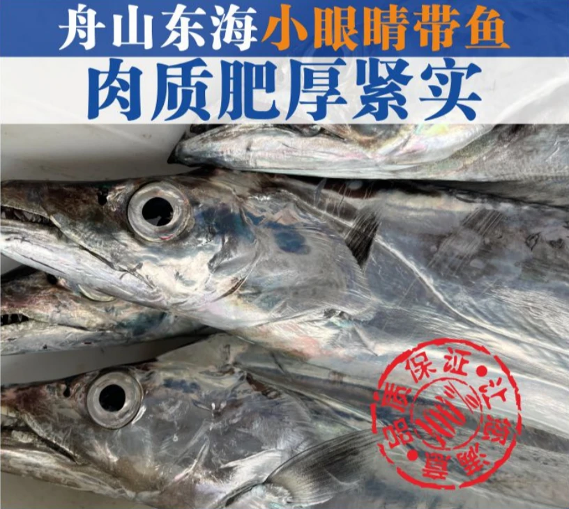 【开播】4两左右/条正宗舟山新鲜小眼睛带鱼 整条带鱼可蒸煮 顺丰