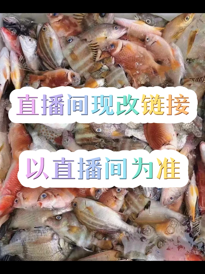 广东汕尾 野生海鱼 直播间现改链接 以直播间为准