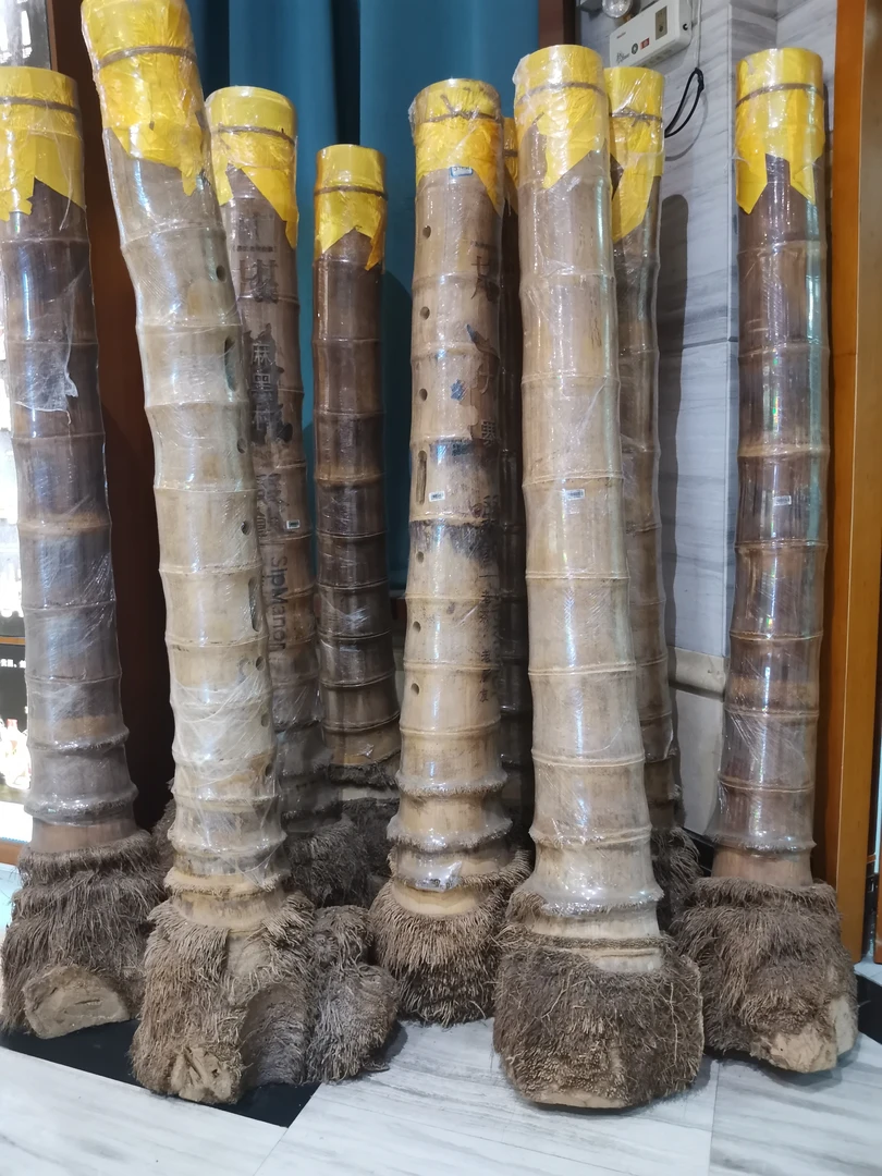 易武七村八寨 2019古树巨龙竹茶 黄金柱35kg