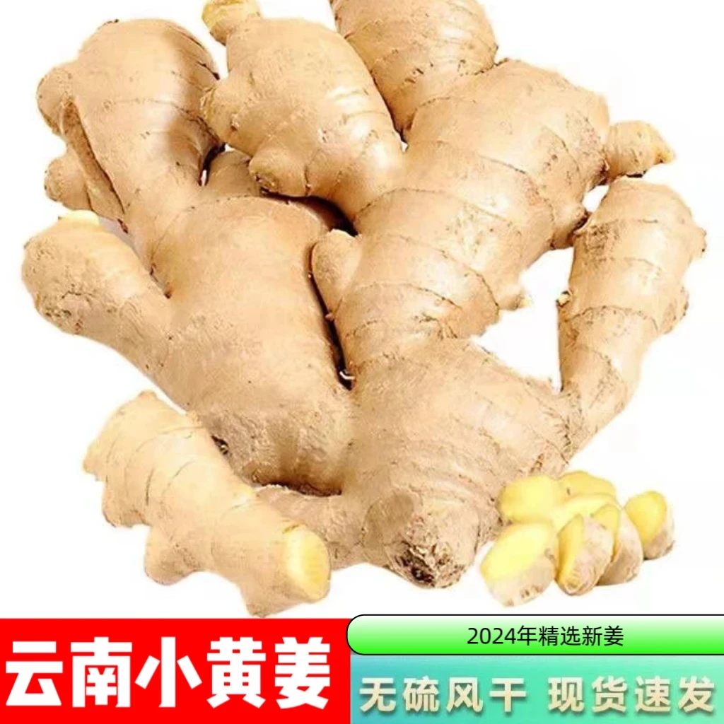 【正宗云南精品小黄姜】老姜土姜嫩姜云南姜批发100g-9斤坏果包赔