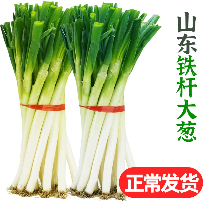 山东大葱新鲜包邮铁杆去皮去叶特产大葱采摘蔬菜新鲜3/5斤批发