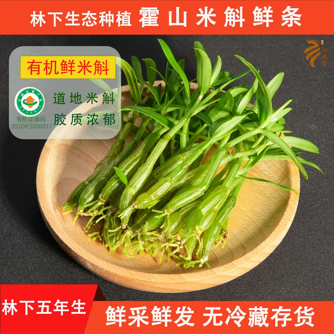 霍山米斛鲜条林下生态种植正宗霍山石斛鲜条大别山原产地直发