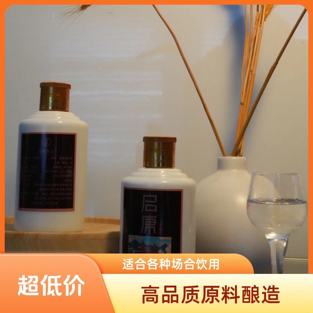 启康醇颂品鉴酒酱香型优级口粮53度100ML