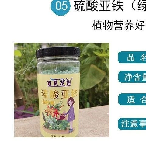 《鲜花》叶子发黄管用西藏各地区发货