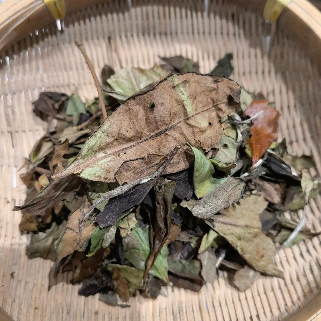 双十一福利 2023年荒山虫叶寿眉 散茶袋装 荒野虫眼白茶