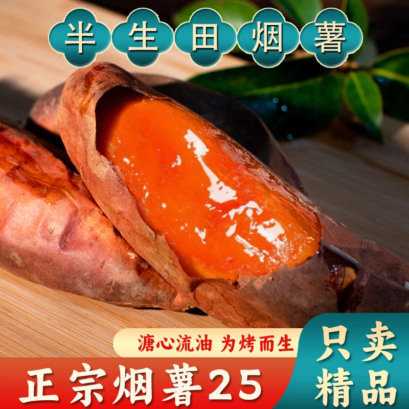 半生田烟薯25号糖心软糯香甜产地直发沙地蜜薯红薯新鲜健康种植