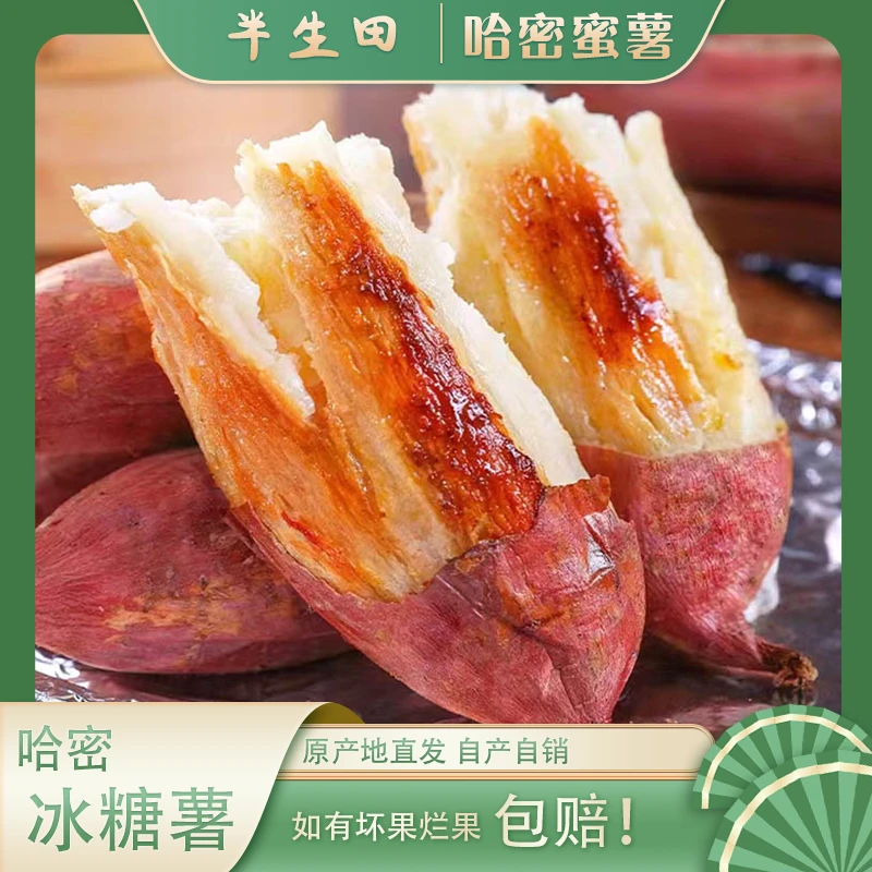 哈密冰糖心蜜薯原产地白心香甜软糯绿色健康种植适合蒸煮