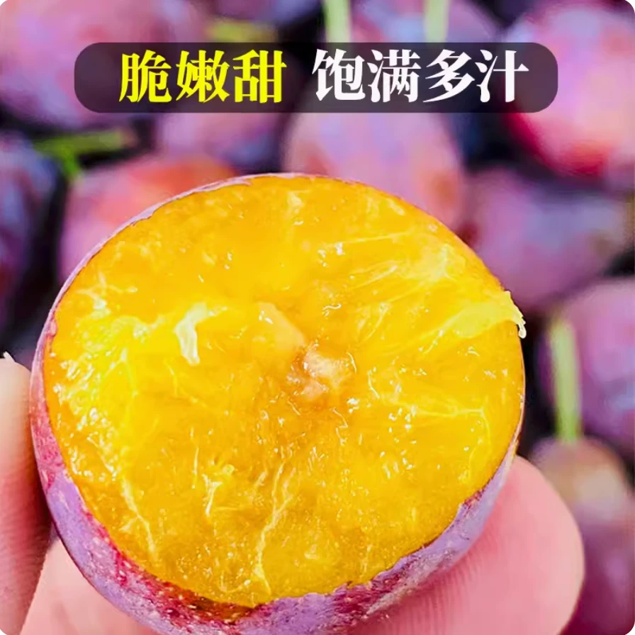 【新疆直发】正宗西梅大果3斤法兰西生态香甜皮薄多汁精选采摘天然