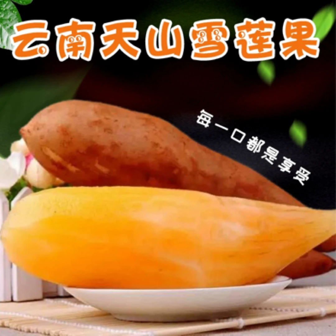 【坏果包赔】云南高原山红泥雪莲果新鲜黄心应季碱性低糖水果包邮