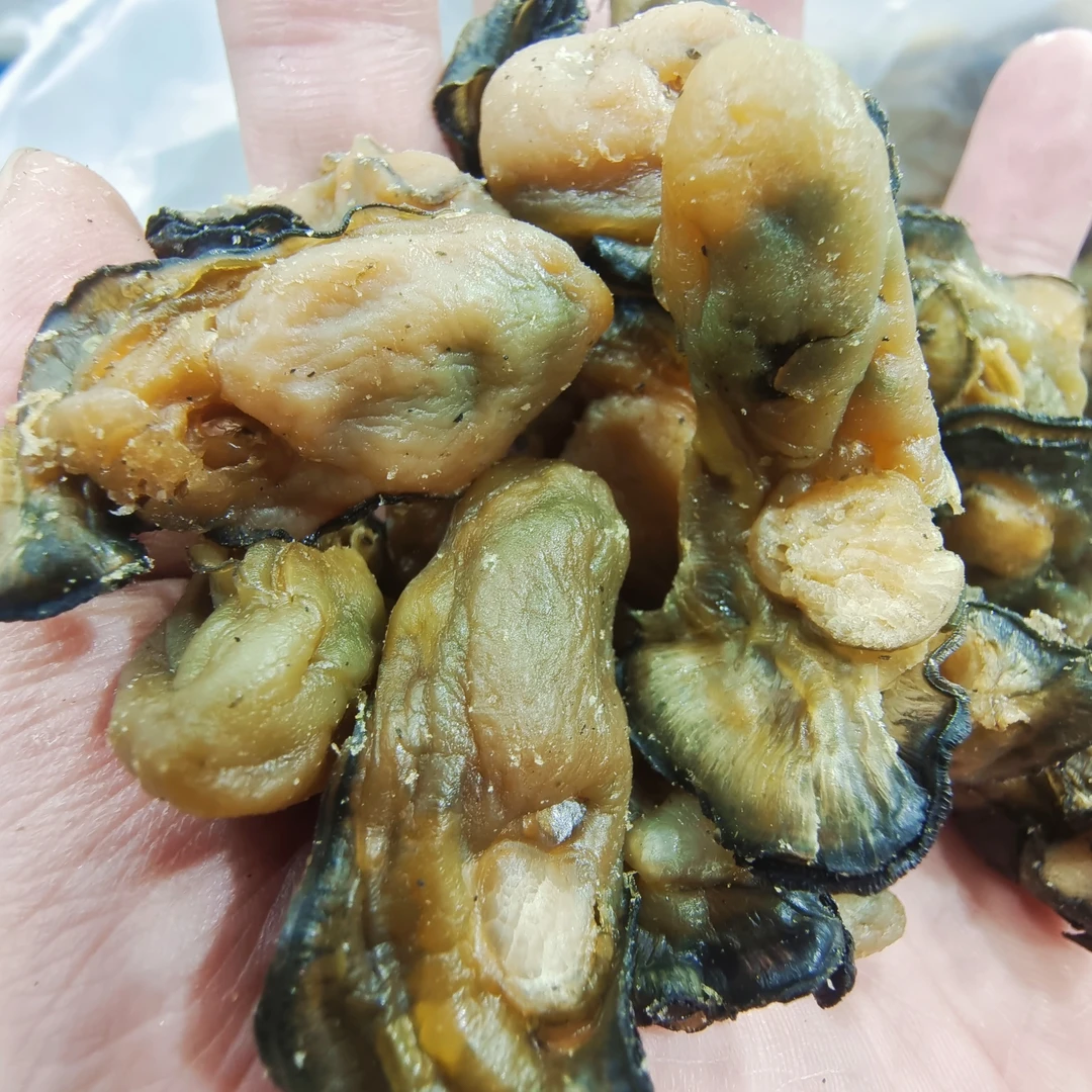 200头蚝豉干金蚝干 250g/500g 海产干货广东茂名博贺港包邮