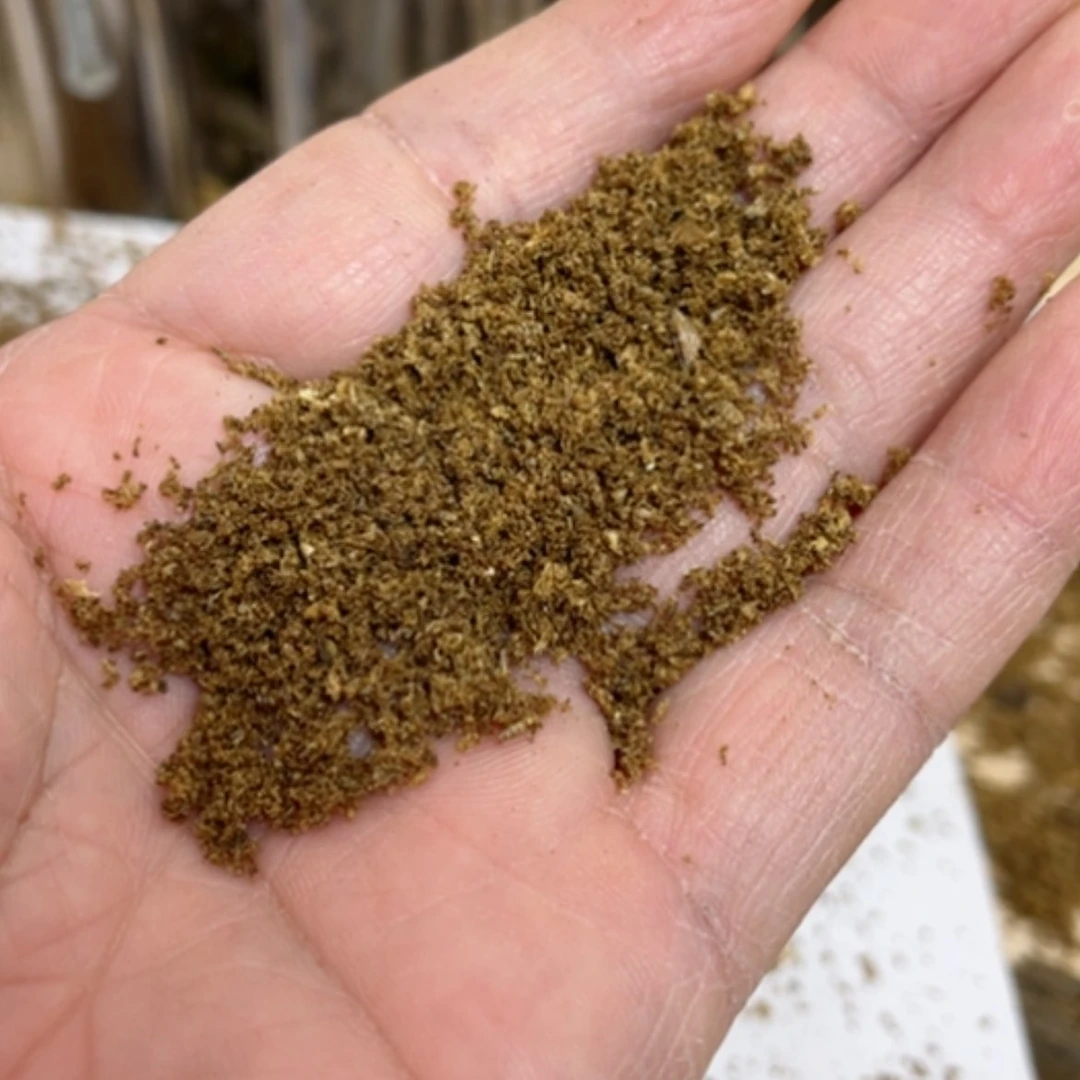 【闪购商品】奇楠粉20克