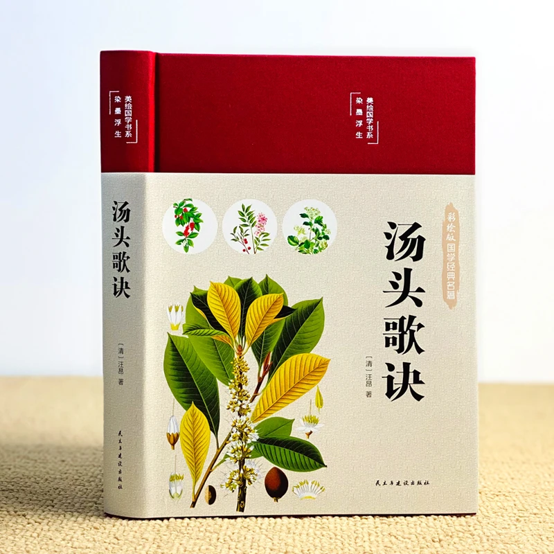 汤头歌诀精装图文全解中医养生疗养秘籍中医基础理论古代中医学