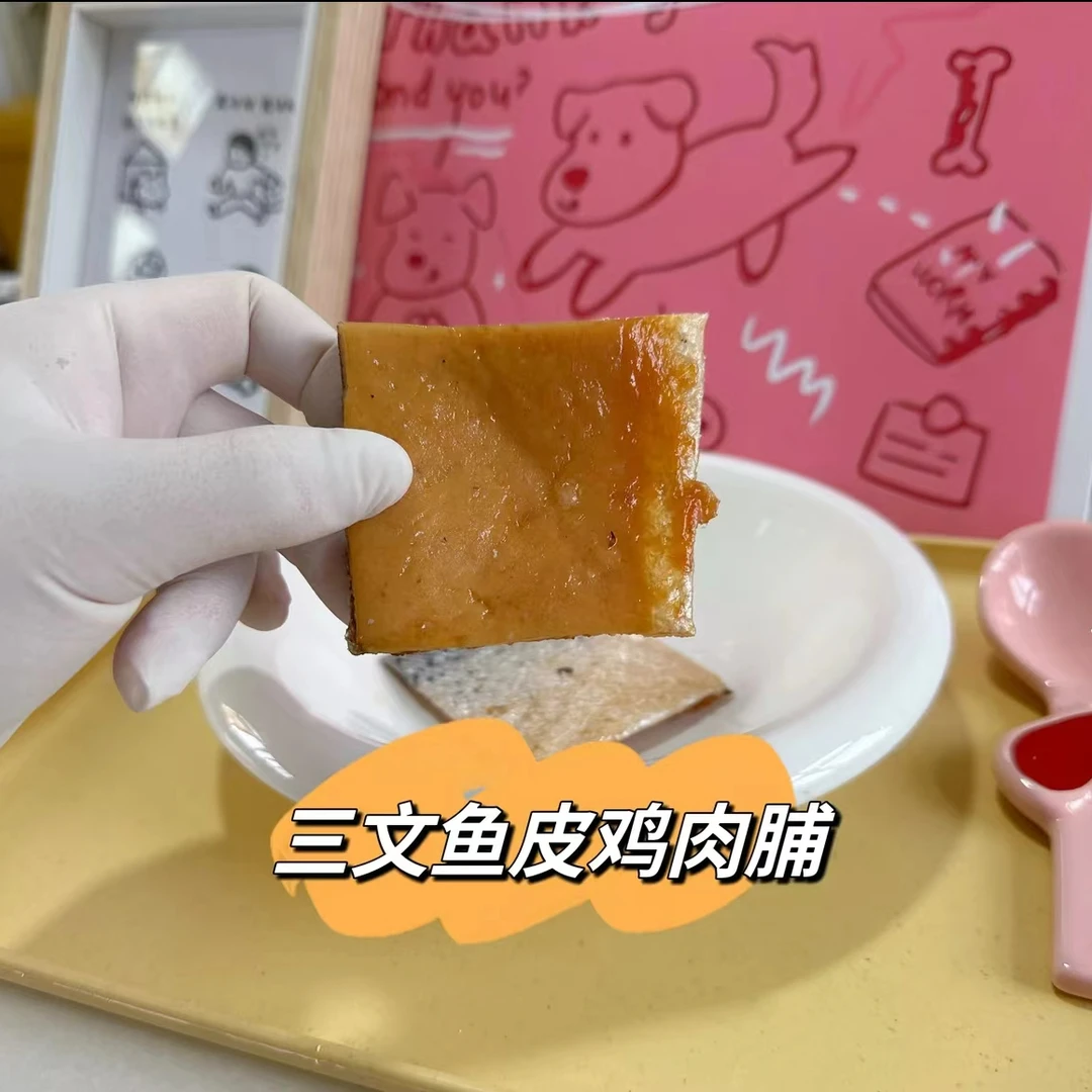 灭菌三文鱼鸡肉脯猫狗通用宠物美毛