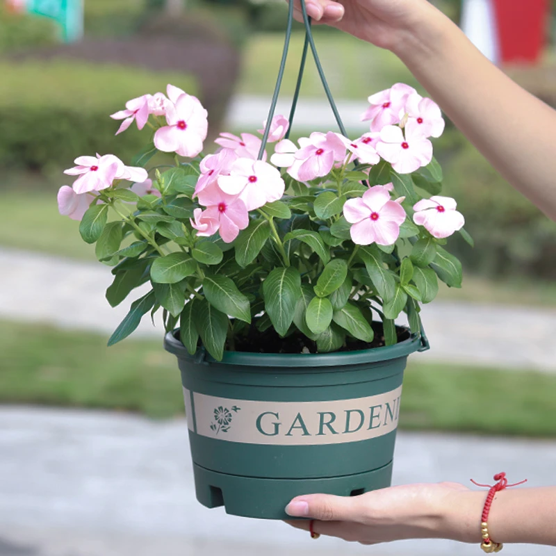 吊盆花盆悬挂式塑料悬挂式加仑吊篮花盆吊兰垂吊绿萝常春藤挂盆厚