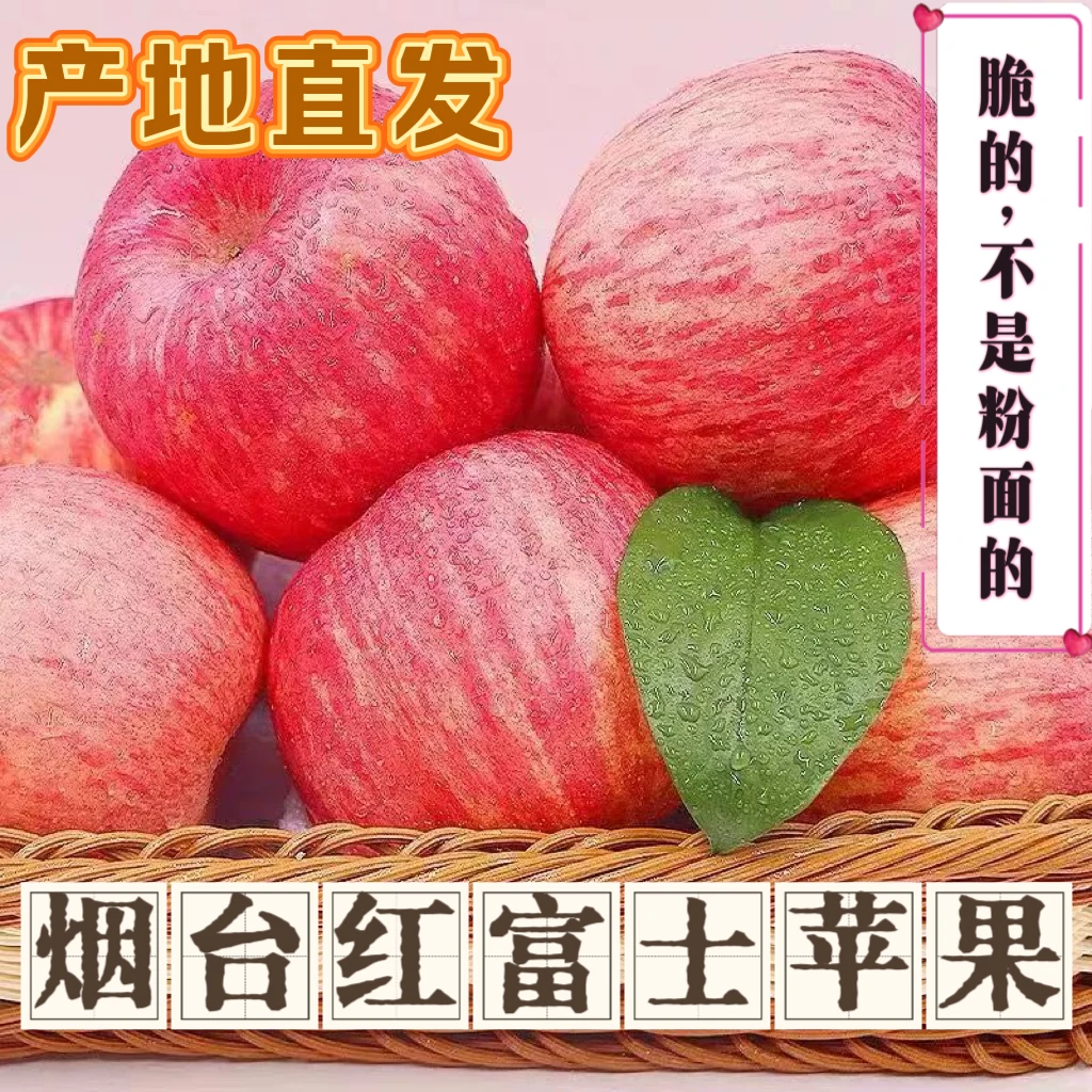 【钰爸专属】烟台富士苹果脆甜当季新鲜水果4.5斤