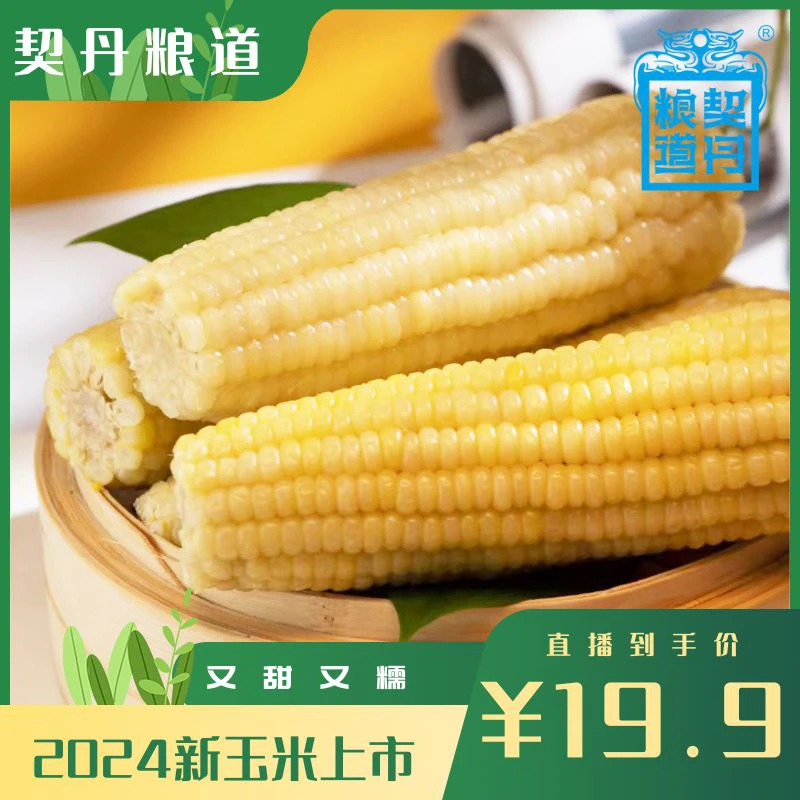 契丹粮道 白糯玉米8根 黑土地种植非转基因 清甜饱满  真空锁鲜