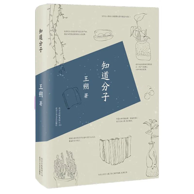【微瑕 知道分子】  王朔随笔集 嬉笑怒骂皆成文章