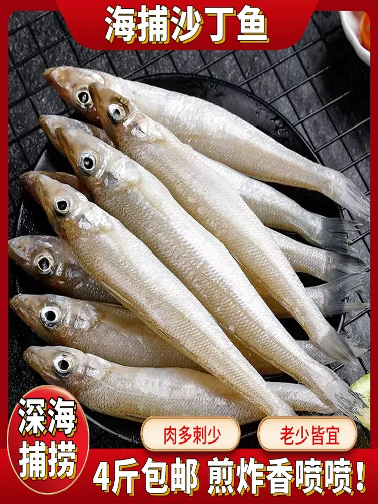 台州新鲜海捕沙丁鱼3斤包邮