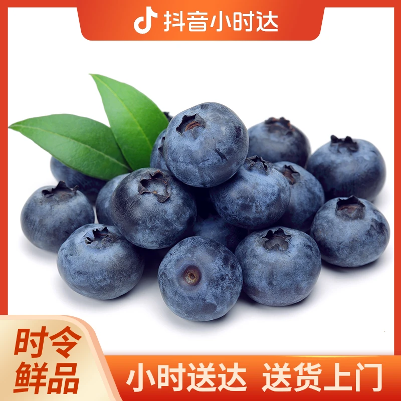 超新鲜蓝莓一盒125g