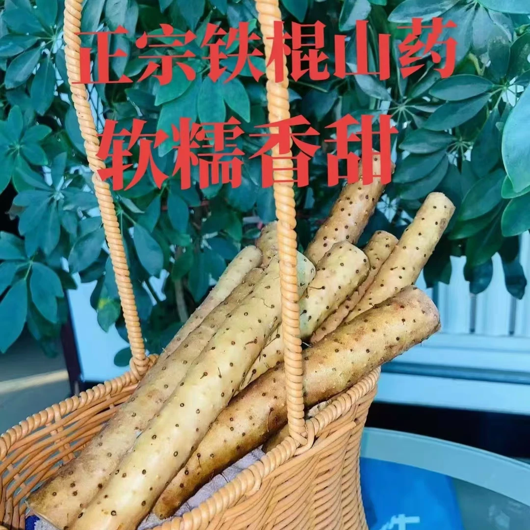 正宗铁棍山药  口感软糯营养大果80厘米以内精品