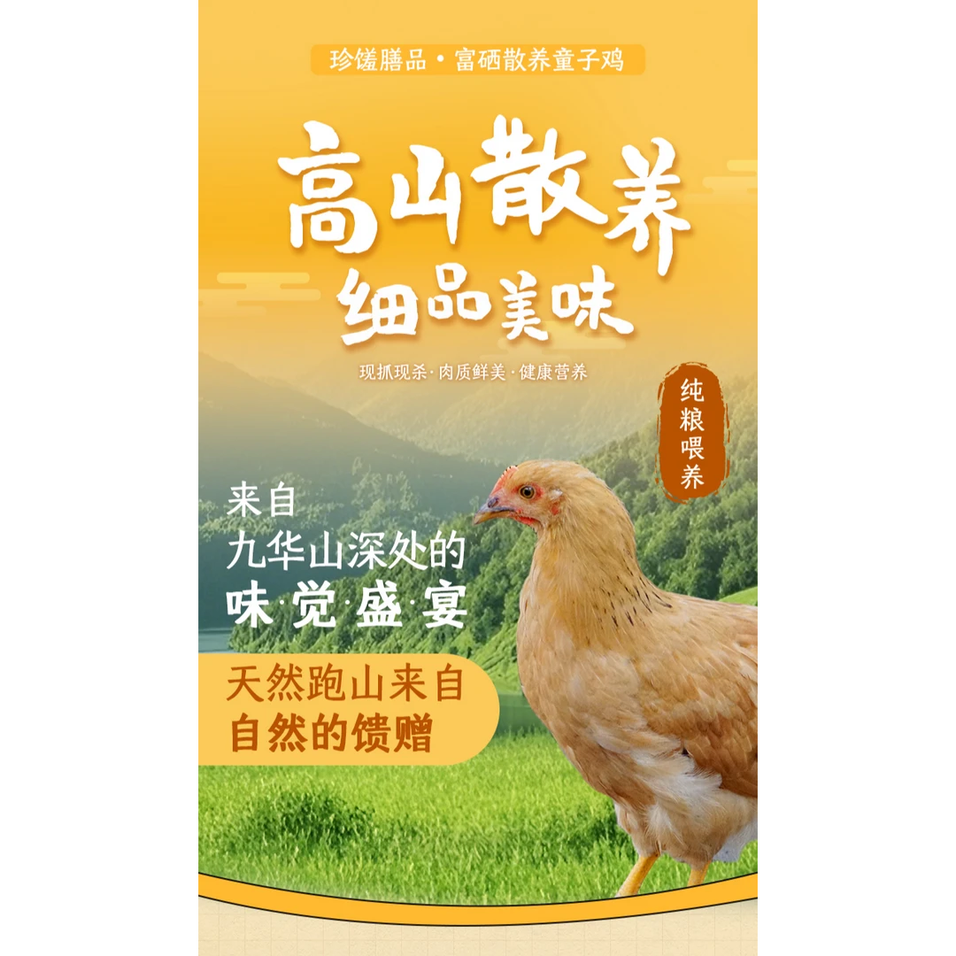 【九华山】高山散养童子鸡(2只装)