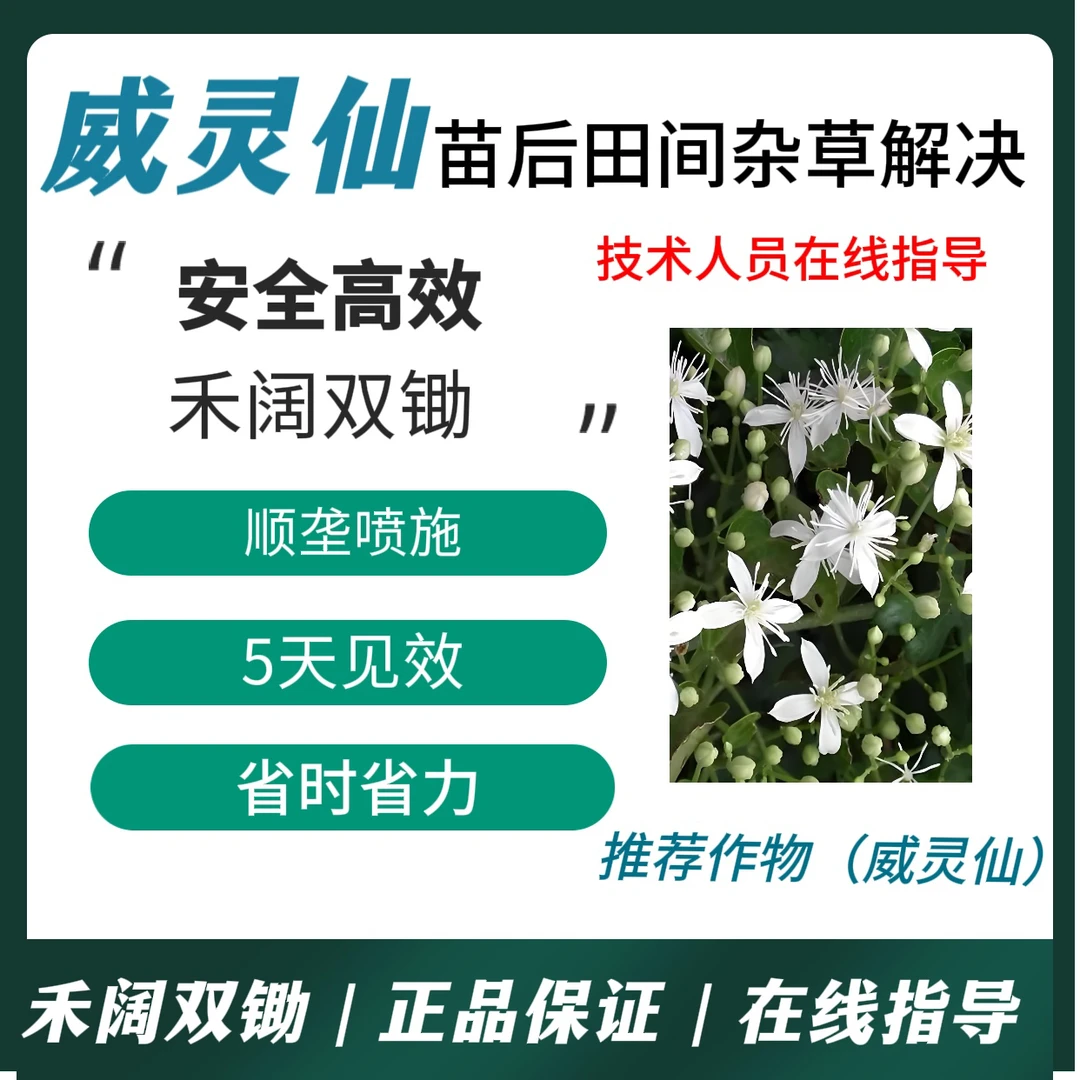 苗后专用助剂威灵仙安全高效禾阔双锄厂家直销正品保证