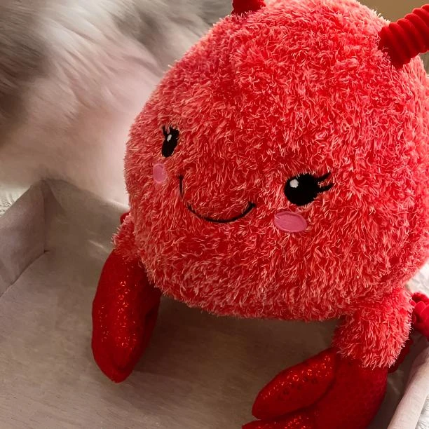 大龙虾怪叫狗狗伴侣玩具