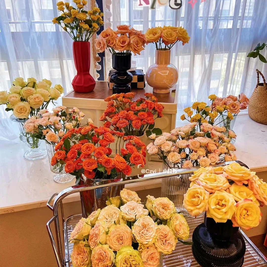 【云南鲜花5件套餐】玫瑰多头玫瑰康乃馨满天星洋甘菊