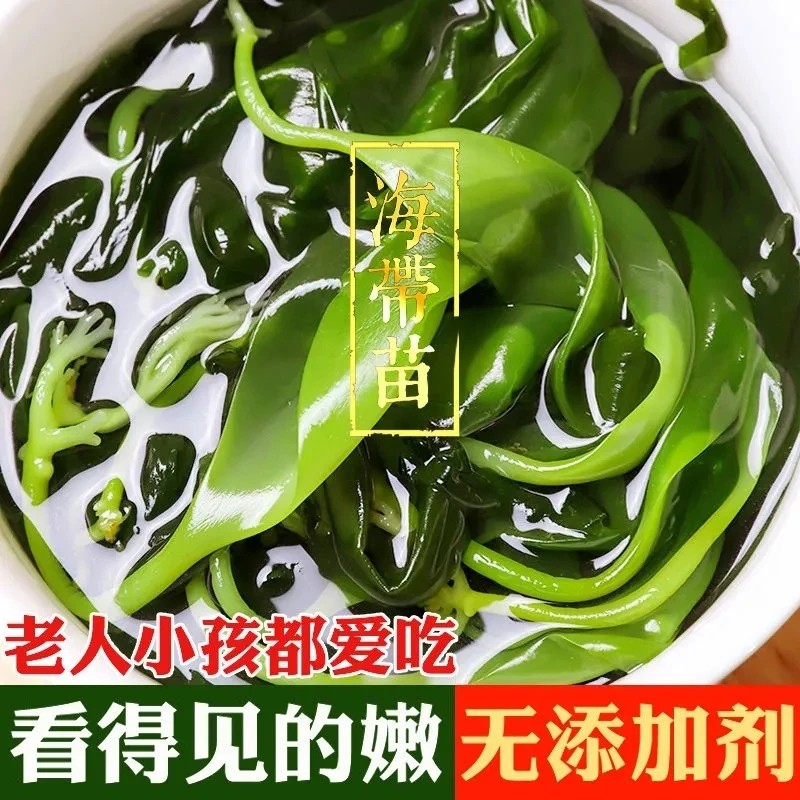 海带嫩苗新鲜盐渍 拍三送二到手五包 霞浦特产凉拌煲汤火锅400g袋