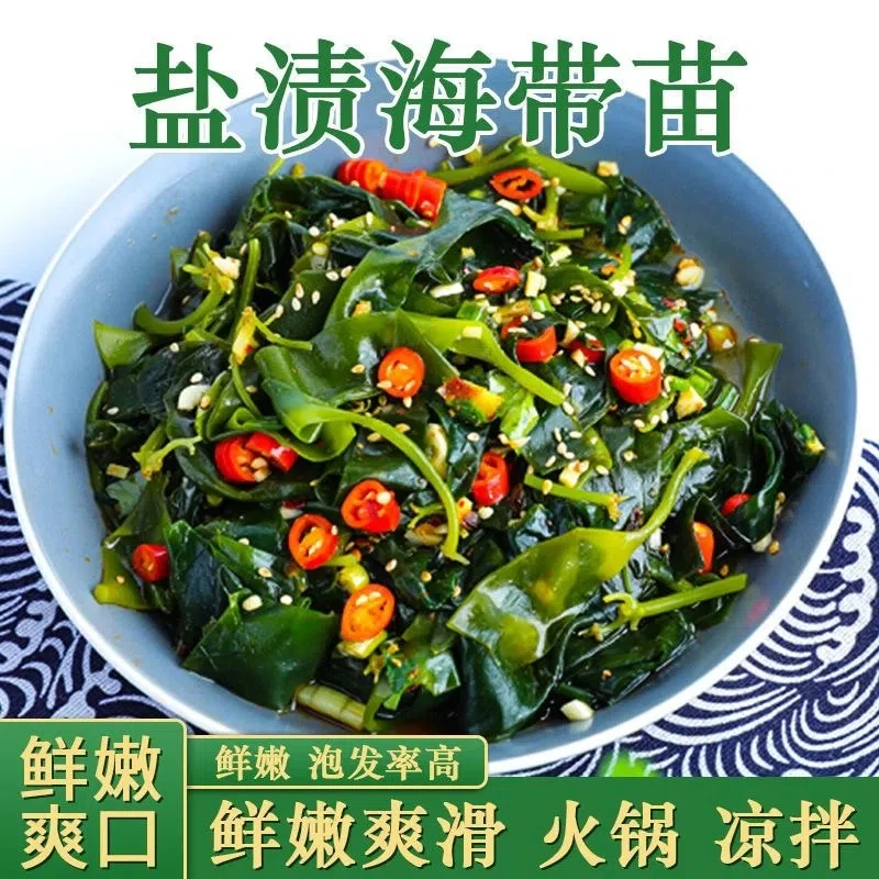 霞浦海带苗嫩非特级非干货新鲜小海带芽盐渍嫩苗凉拌火锅 500g/袋