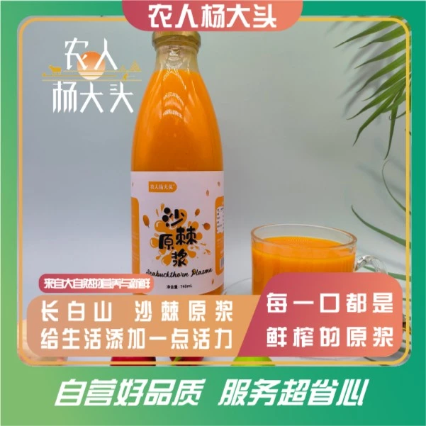 【补贴】沙棘原浆鲜果榨取 740ml*2瓶/盒*1盒