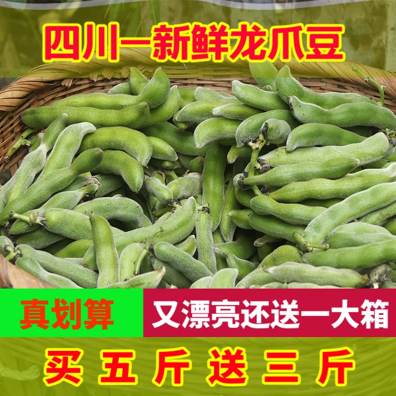【D新鲜现摘狗儿豆】新鲜手工自种龙爪豆狗儿豆猫猫豆老虎豆1斤/5斤