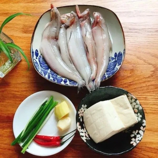 广东汕尾本港野生豆腐鱼 九肚鱼